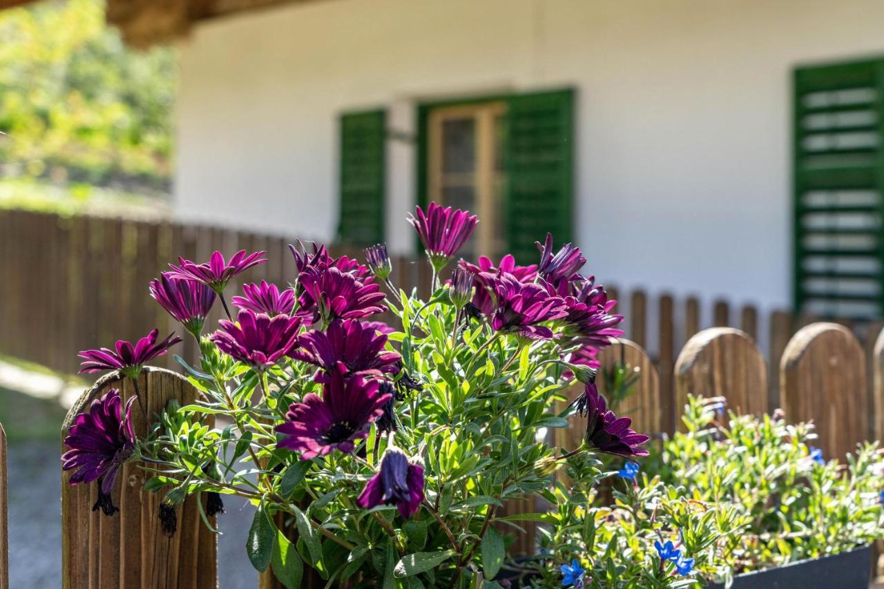 Ferienwohnung Brunjaunhof Schenna Εξωτερικό φωτογραφία